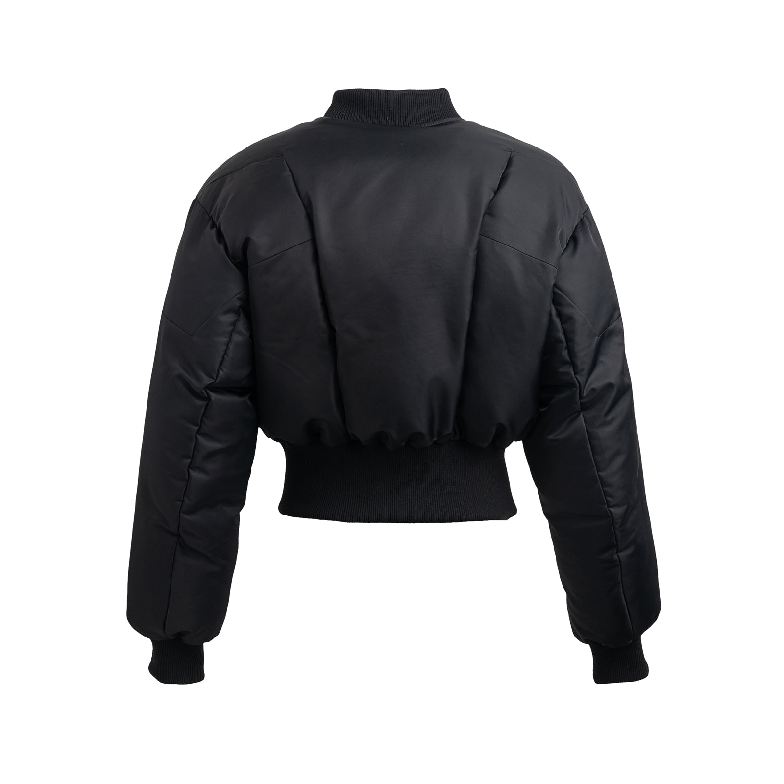 23FW Sleek Waisted Down Jacket